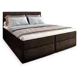 masseno Pellio 160 x 200 cm H2 Braun