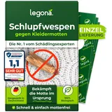 Schlupfwespen gegen Kleidermotten (Einzellieferung) 8x Karten