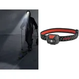 Coast Fl19 Stirnlampe (415 Lumen) mit rotem - weißem Licht - im Blister