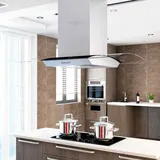 vidaXL 50665 Inselhaube 90 cm silber
