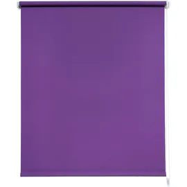 LIEDECO Seitenzugrollo Uni 62 x 180 cm brombeere