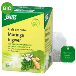 Moringa Ingwer Kräutertee Kraft der Natur Salus