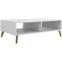 Mirjan24 Couchtisch, Weiß, Gold, 1 Fächer, Rechteckig,Rechteckig, 100x32x60 cm,