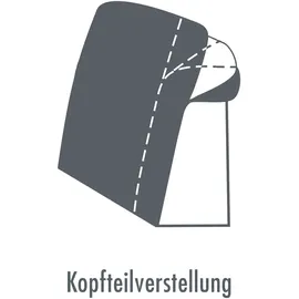 die planbar Recamiere DIE PLANBAR "MP-IN20126 L-Form mit Federkern-Polsterung", blau (ocean), B:328cm H:82cm T:190cm, 100% Polyester, Sofas, Recamiere, mit Kopfteilverstellung, optional Sitztiefen- & Armteilverstellung