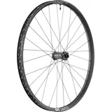 DT Swiss Vorderrad 29")