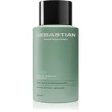 Sebastian Professional Volupt 1000 ml