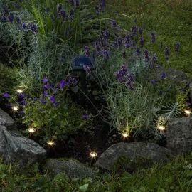 Star Trading LED-Solar-Lichterkette 'Mini Spot', Kunststoff - Schwarz