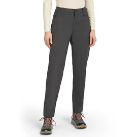 Icebreaker Merino Elevation Stretch Hosen Grau 30
