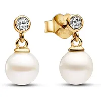 Pandora Ohrhänger 263153C01 - Gold