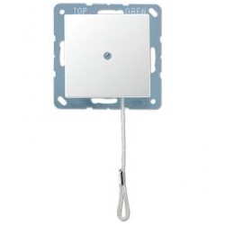 Jung Zug-Wechselschalter 10 AX 250 V ~ (champagner)