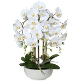 Creativ green Kunstpflanze Orchidee Phalaenopsis in Keramikschale weiß
