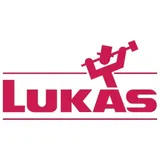 Lukas-Erzett Kehlnahtschleifscheibe U-edge Pro 125 mm Korn 40