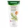 Rausch Nähr-Conditioner mit Weizenkeim 150 ml