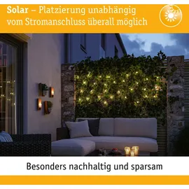 Paulmann Lichterkette Kunststoff, Metall 21,9 m 200 LEDs inkl. Dämmerungssensor schwarz