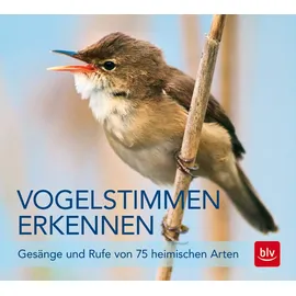 BLV Verlagsgesellschaft GmbH Vogelstimmen erkennen / CD