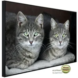 papermoon Infrarotheizung »EcoHeat - Grüne Augen Katzen«, Matt-Effekt - bunt