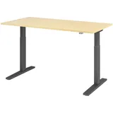 Hammerbacher XMKA16 elektrisch höhenverstellbarer Schreibtisch ahorn rechteckig, C-Fuß-Gestell grau 160,0 x 80,0 cm