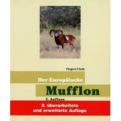 Der Europäische Mufflon