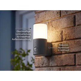 meineWunschleuchte Außenwandleuchte Aluminium 17,5 cm mit Bewegungsmelder anthrazit