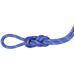 Mammut Alpine Sender Dry 9.0 mm - Einfach/Halb/Zwillingsseil - Blue