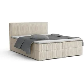 dein schlaf 24 BOXBETT LON IV 160/200 in Cord Creme H4 - Beige
