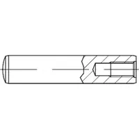 Industrial Quality Supplies DIN 7979 Zylinderstift mit Innengewinde, ST