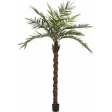 Europalms Kentia Palme deluxe, Kunstpflanze 300cm