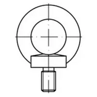 Industrial Quality Supplies Ringschraube DIN 580 M10 C 15 E galvanisch verzinkt 25 Stück