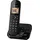 Panasonic KX-TGC420GB