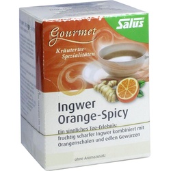 Ingwer Orange-Spicy Tee Salus 15 ST