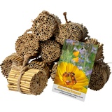 dobar dobar® Schilfrohrhalme-Set für Wildbienen - Blütensamen „Bienenschmaus“