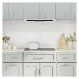 vidaXL Küchenrückwände 2 Stk. Transparent 80x60 cm Hartglas