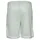 Karl Kani KM232-005-1 KK Retro Pinstripes Mesh Short - Grün