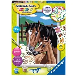 Ravensburger Malen-nach-Zahlen Pferd mit Fohlen mehrfarbig