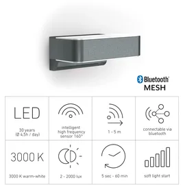 Steinel L 810 Sensor Wandleuchte 12,5 W anthrazit