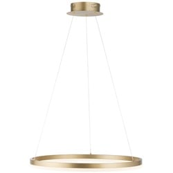 Paul Neuhaus LED-Pendelleuchte Titus Alu, Eisen, Stahl & Metall Gold Messing 60 cm