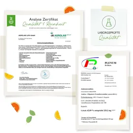 Vit4ever OPC Traubenkernextrakt + Vitamin C Kapseln 365 St.
