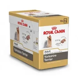 Royal Canin Adult Yorkshire Terrier Nassfutter 4 Kartons (48 x 85 g)