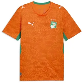 Puma Elfenbeinküste Heimtrikot (Replica) 2026 Herren Gr. 3XL