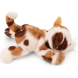NICI MagNICI Glückskatze 12 cm Braun