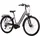 Saxonette Premium Sport Wave 28" RH 50 cm silber matt