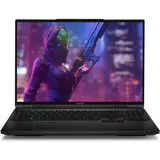 Captiva Highend Gaming I84-732 16'' Core i9-14900HX 64 GB RAM 2 TB SSD RTX 4070