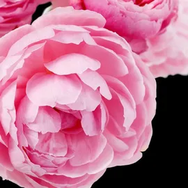 YODEYMA Dinara Eau de Parfum 50 ml