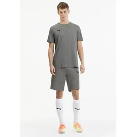 Puma Teamgoal 23 Casuals Tee Grau L