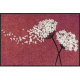 Salonloewe Fußmatte Wishfull Blossom 50x75 cm