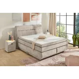 Jockenhöfer Queen 195 x 230 cm Beige/Grau