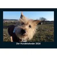 Vero Kalender Der Hundekalender 2026 Fotokalender DIN A5 von