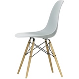 Vitra - Eames Plastic Side Chair DSW RE, Esche honigfarben / hellgrau (Filzgleiter weiß)