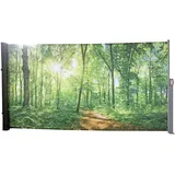 Benelando Seitenmarkise 160 x 300 cm Mehrfarbig
