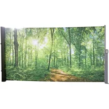 Benelando Seitenmarkise 160 x 300 cm Mehrfarbig